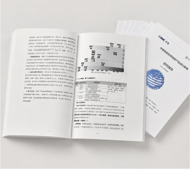 中集集团研究报告